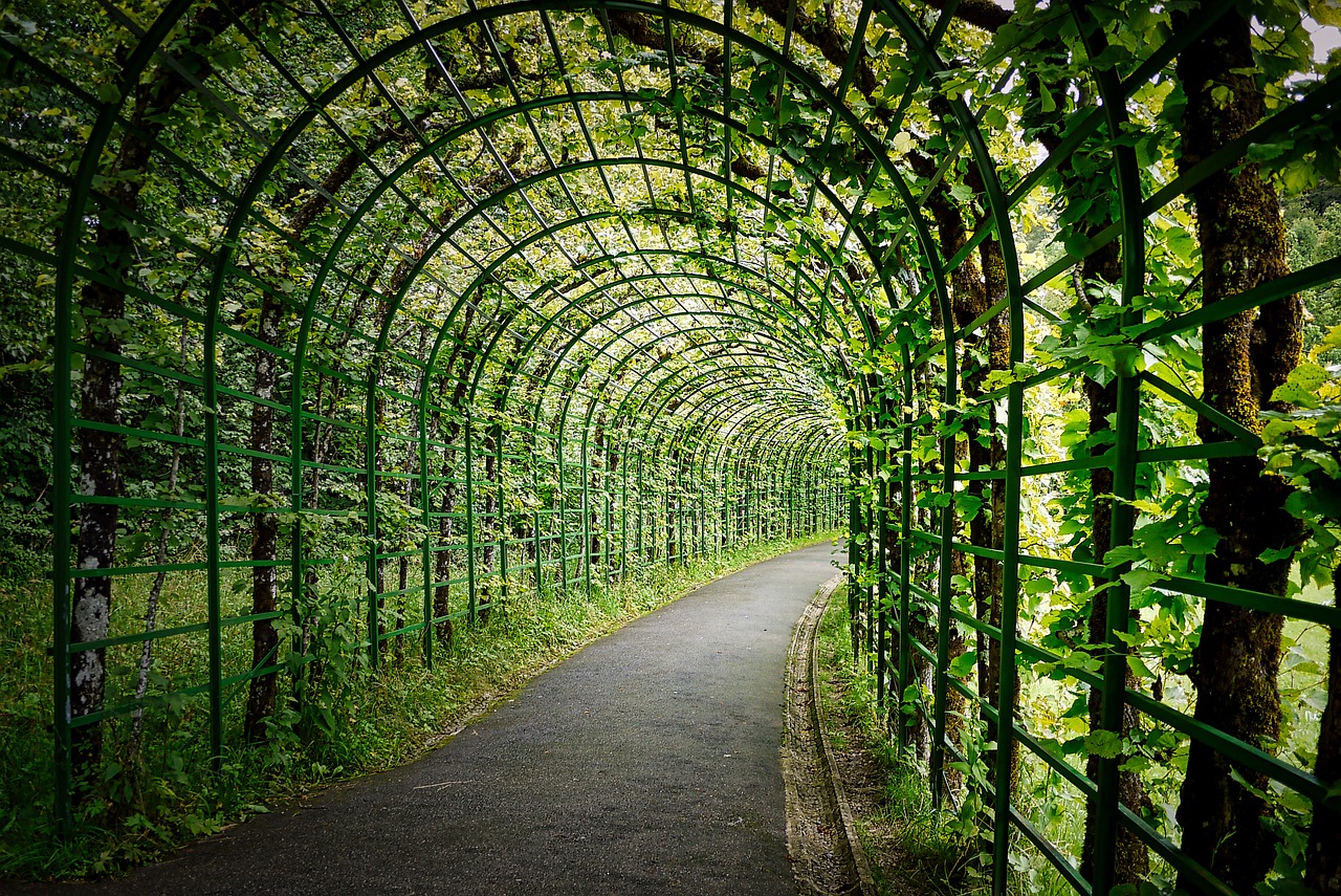 pergola Groene overkappingen in boogvorm of berceaus