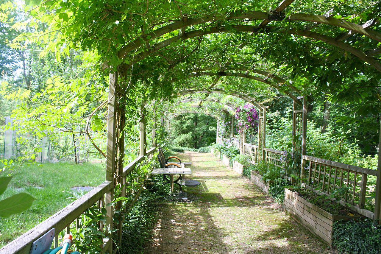 pergola Groene overkappingen in boogvorm of berceaus