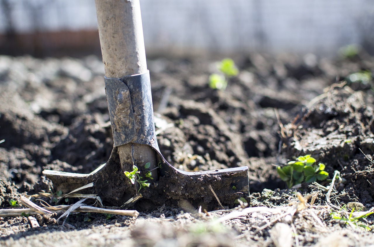 Tuin voorbereiden op het voorjaar